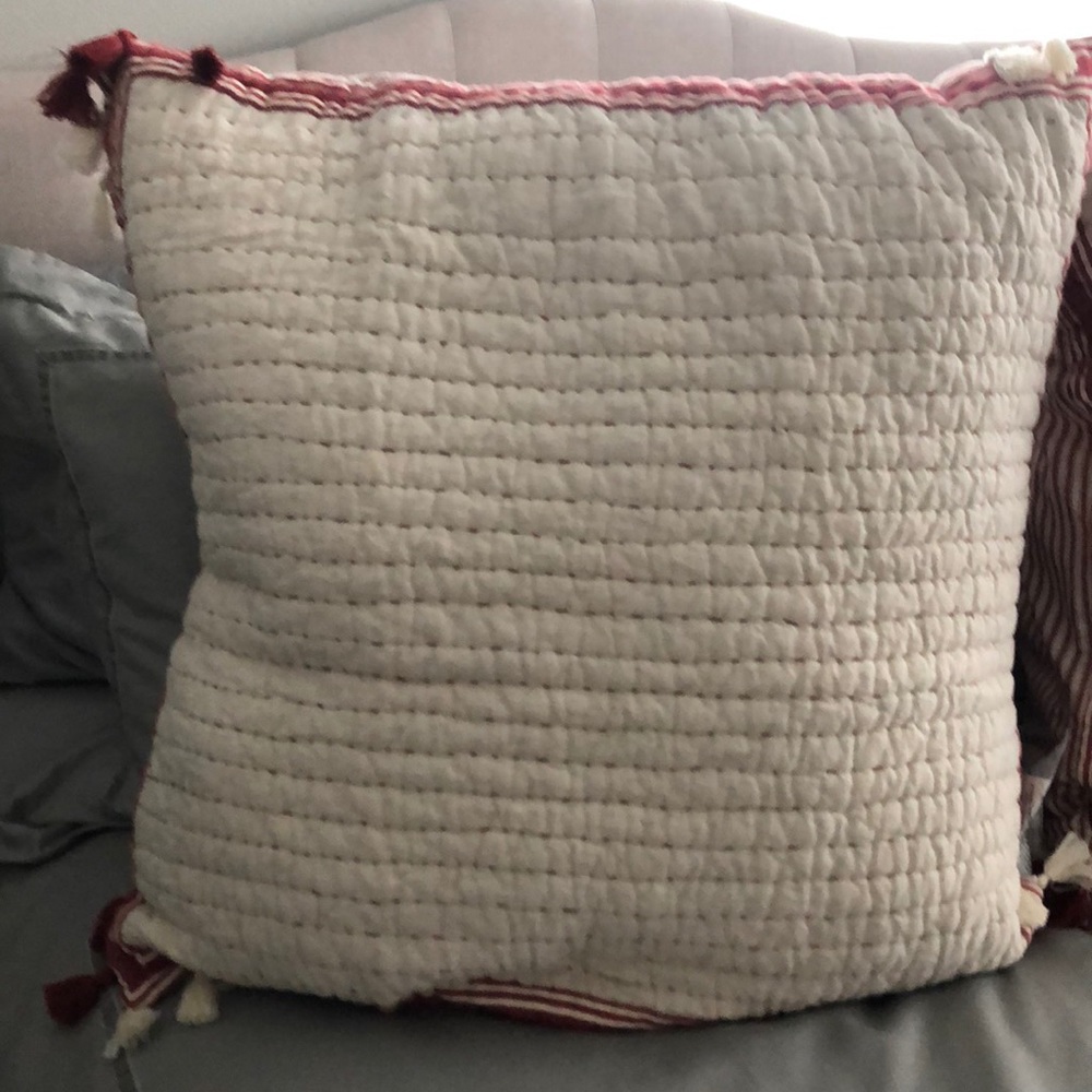 Pair of pottery barn pillows with covers.